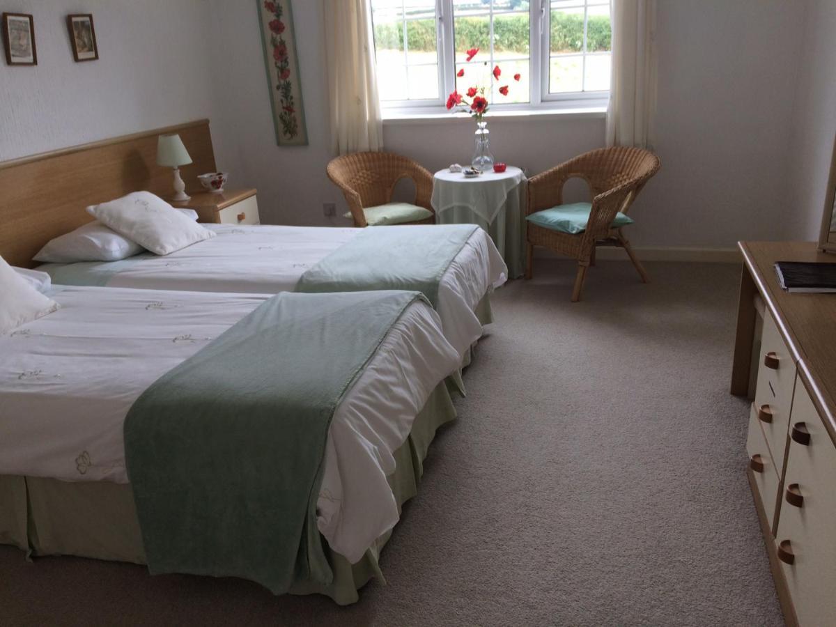 The Grange Accommodation, Waye Farm, Ermington, Devon Holbeton Экстерьер фото